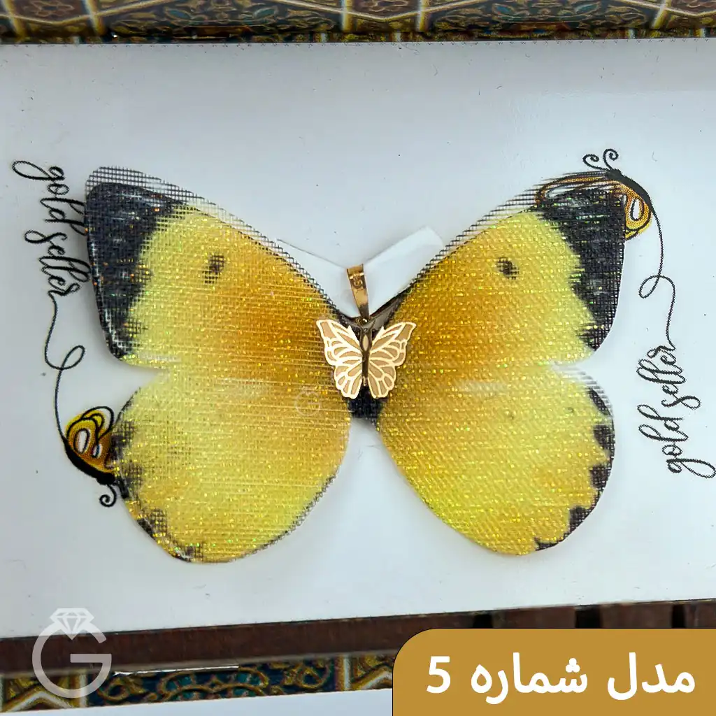 IMG_7495-Rec11111overed