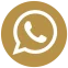 whatsapp icon